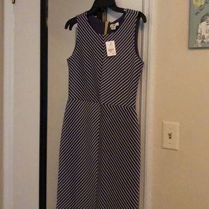 Size 8 Navy and White Dress NWT